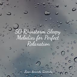 50 Rainstorm Sleepy Melodies for Perfect Relaxation - Rain Sounds & White Noise
