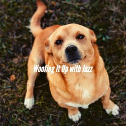 Woofing It Up with Jazz - Dog Calming Music