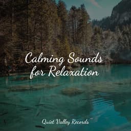 Calming Sounds for Relaxation - Reiki Music