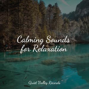 Calming Sounds for Relaxation - Reiki Music
