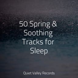50 Spring & Soothing Tracks for Sleep - Massagem