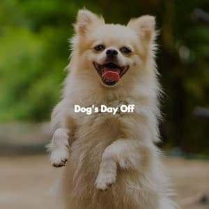 Dog's Day Off - Calming Jazz For Dogs