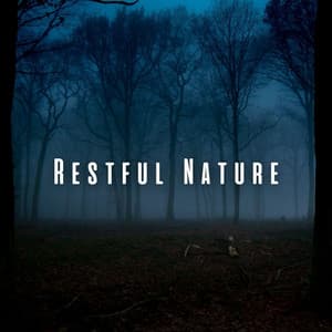 Restful Nature: Insects and Himalayan Bowl for Sleep - Himalaya Nature