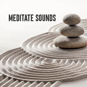Meditate Sounds - Tibetan Bowls