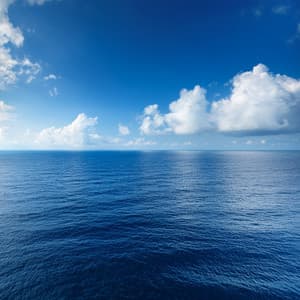 Orchestra Of Majestic Horizons: Grand Symphonies For The Spirit - Lee Rosangela