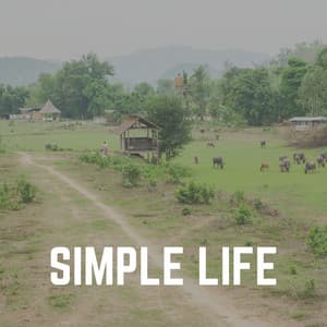 Simple Life - Schlaflieder Relax