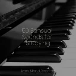 50 Sensual Sounds for Studying - Ivory Mood