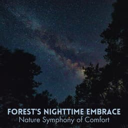 Forest's Nighttime Embrace: Nature Symphony of Comfort - Gentle Nature