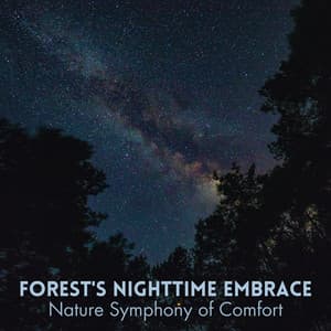 Forest's Nighttime Embrace: Nature Symphony of Comfort - Gentle Nature