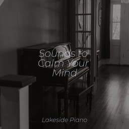 Sounds to Calm Your Mind - SD
