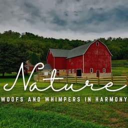 Woofs and Whimpers in Harmony: Sound Journeys - Aura Cleanse