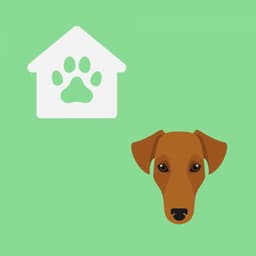 Jazz Organ - Bgm for Dogs and Dreams - Doggy Music Radio