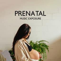 Prenatal Music Exposure: Calm Sounds for Early Development of a Baby and Relaxed Mother - Peaceful Pregnancy Musical Kit