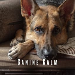 Canine Calm: Soothing Sounds for Dogs - Soothing Restorations