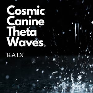 Cosmic Canine Theta Waves, Rain - Chakra Waves