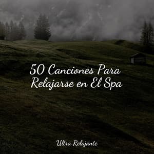 50 Canciones Para Relajarse en El Spa - Música para Relajarse Profundamente