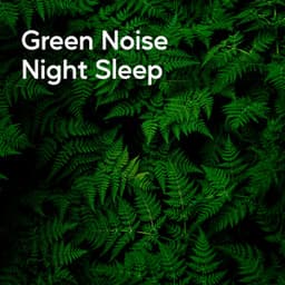 Green Noise Night Sleep - Organic Nature