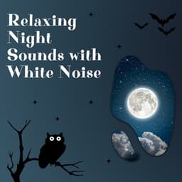 Relaxing Night Sounds with White Noise, Loopable - White Noise Therapy