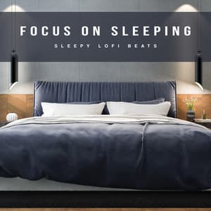 Focus On Sleeping - Sleepy Lofi Beats