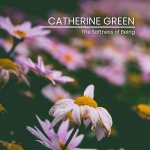 The Softness of Being - Catherine Green