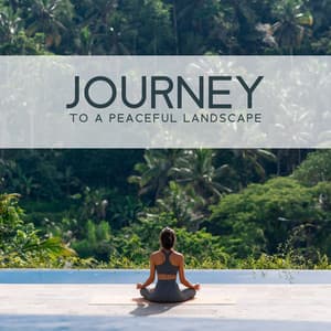 Journey to a Peaceful Landscape: Nature Sound Effects and Atmospheres for Meditation, Relaxation and Yoga - Relaxation Area