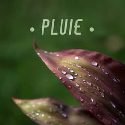 Pluie - Jean Bright