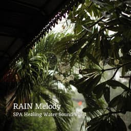 RAIN Melody: SPA Healing Water Sound Vol. 1 - Nature Radio 1