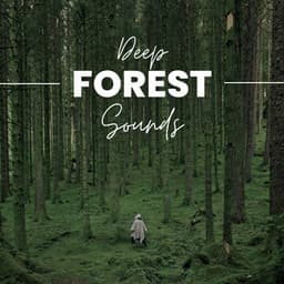 Deep Forest Sounds - Natural Sounds
