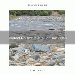 Perfect Noises Palette For Quick Nap - Calming Brown Restful Sounds