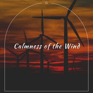 Calmness of the Wind - Relaxation