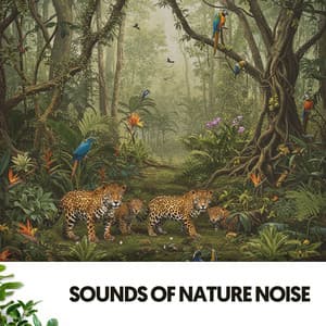Sounds of Nature Noise: Harmonies of the Earth - Música Relajante Para Leer