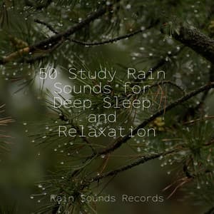 50 Study Rain Sounds for Deep Sleep and Relaxation - Yoga Music
