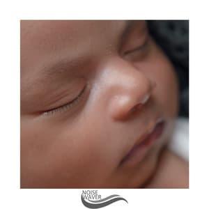 Cosy Low Noise - The White Noise Travelers