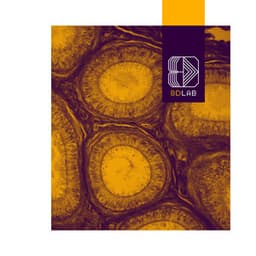 Soothing Frequencies - 8D Lab - Relaxing Music