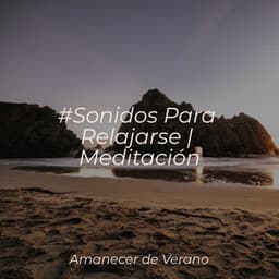 #Sonidos Para Relajarse | Meditación - Sonidos de la Naturaleza Relax