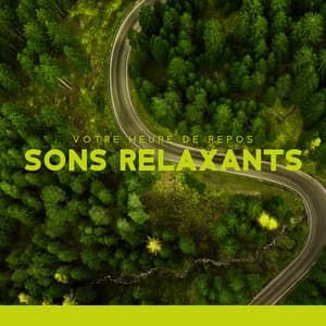Votre heure de repos: Sons relaxants de la nature pour une sieste, Repos après le travail, Soulagement du stress - Zen Matin Groupe