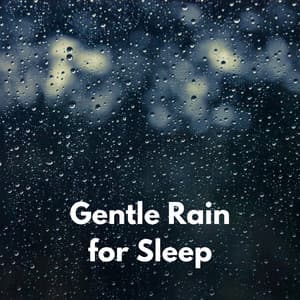 Gentle Rain for Sleep - Relaxing Rain Sounds