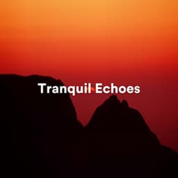 Tranquil Echoes: Ambient Sounds for Meditation and Relaxation - Reiki Warmth