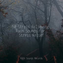 50 Stress Relieving Rain Sounds for Stress Relief - Lightning, Thunder and Rain Storm