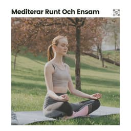 Mediterar Runt Och Ensam - Avslappnande Meditation Akademi