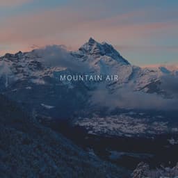 Mountain Air - Forest FX