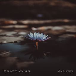 Frictions - Axelites