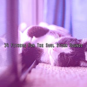 34 Fitness for the Soul Storm Sounds - The Rain Library