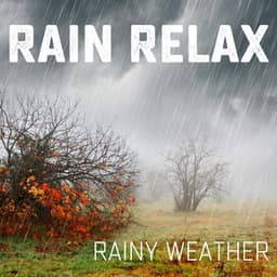 Rainy Weather - Rain relax
