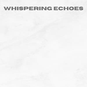 Whispering Echoes - Delicatessen Noise