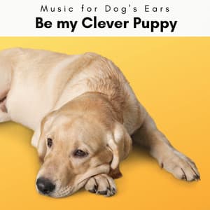 1 Be my Clever Puppy - Music for Dog's Ears