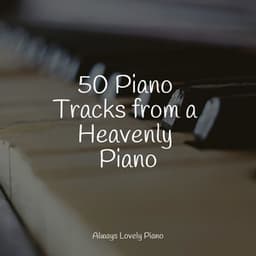 50 Quiet Listening and Calming Piano Melodies - Concentration Study