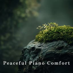 Peaceful Piano Comfort - Relax α Wave