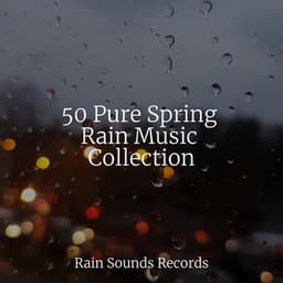 50 Pure Spring Rain Music Collection - Nature Sounds