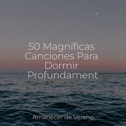 50 Magníficas Canciones Para Dormir Profundamente - Study Music & Sounds